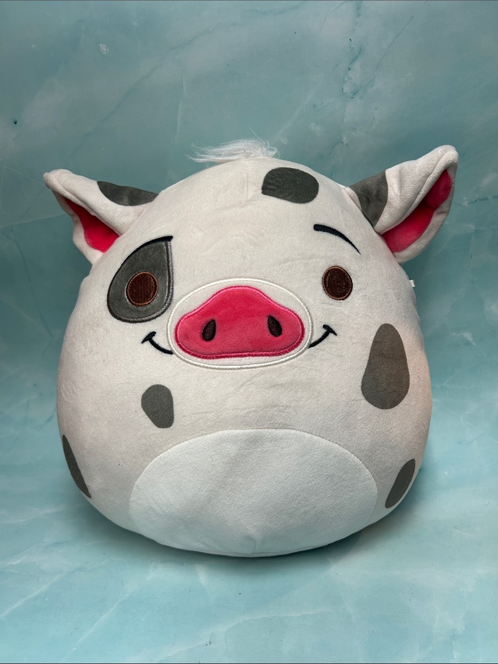 Disney Moana Pua Pig Squishmallows 12" Plush 2023